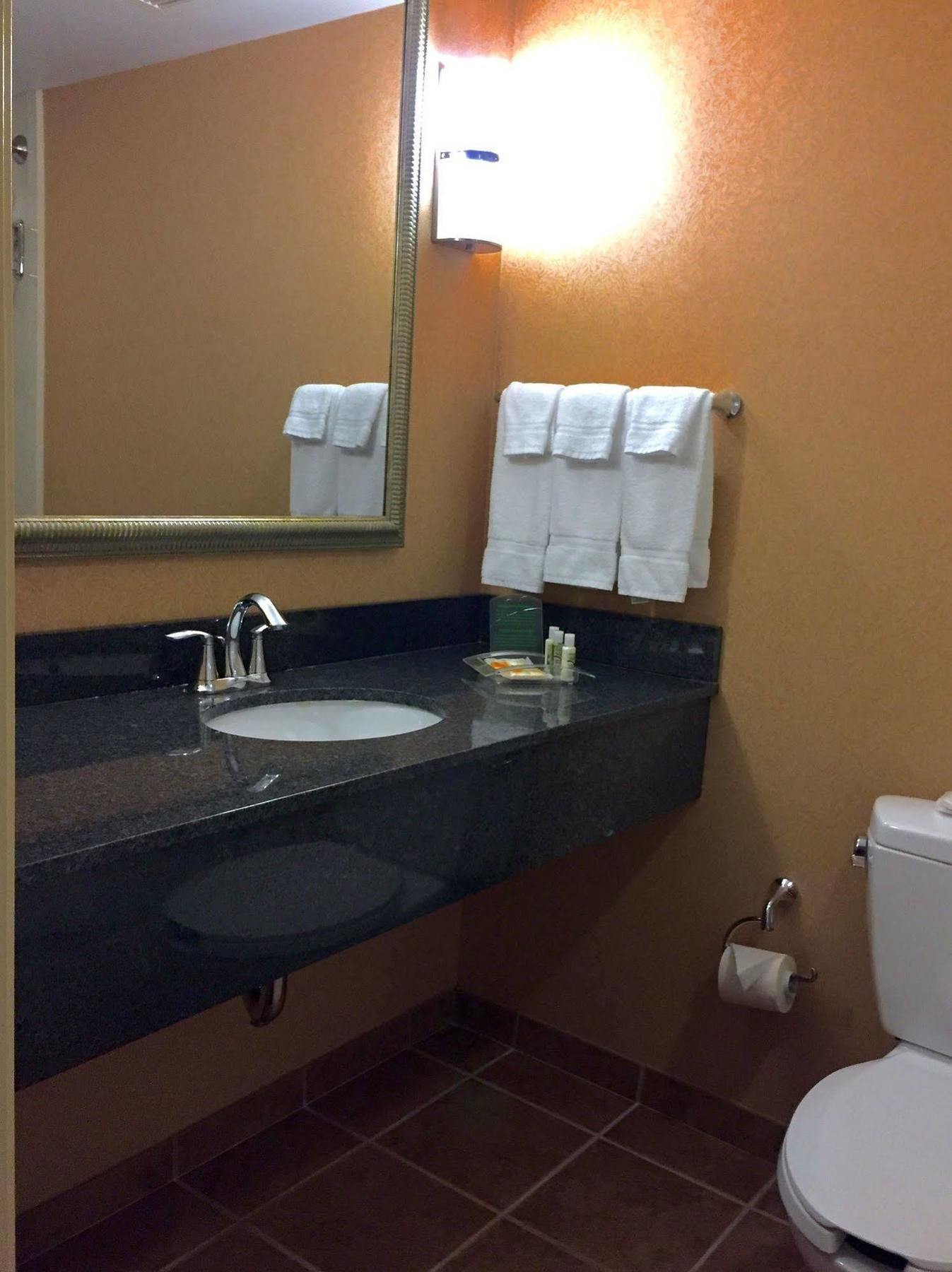 Holiday Inn Winchester Southeast-Historic Gateway By Ihg Extérieur photo